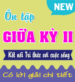 Ôn tập Giữa Học kỳ II (KNTT)